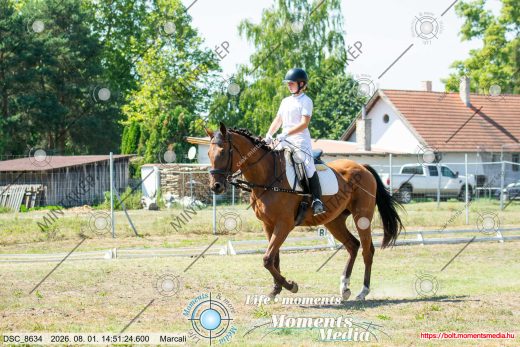 Mintakép 20260801-3351