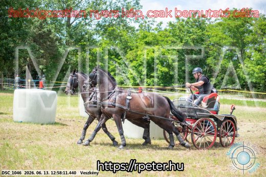 Mintakép 20260613-1443