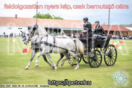 Mintakép 20260614-675
