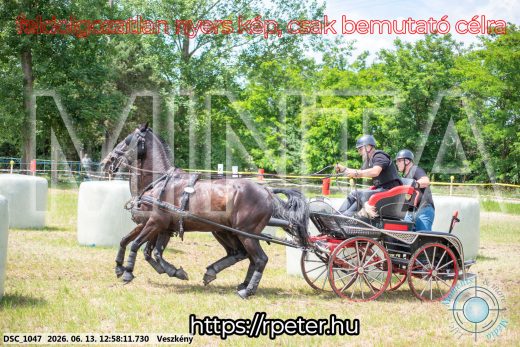Mintakép 20260613-1444