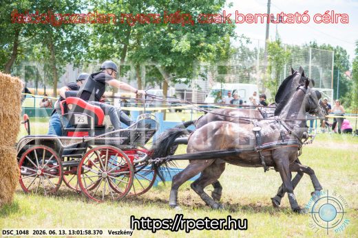 Mintakép 20260613-1445