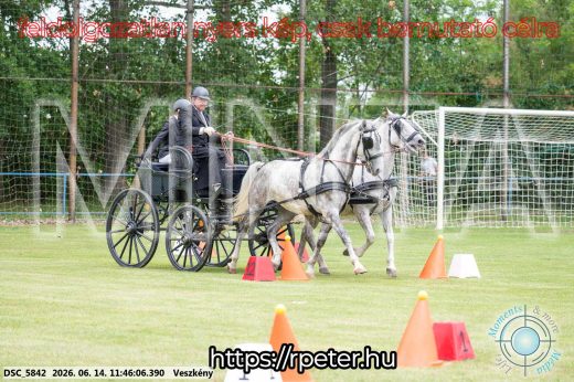 Mintakép 20260614-678