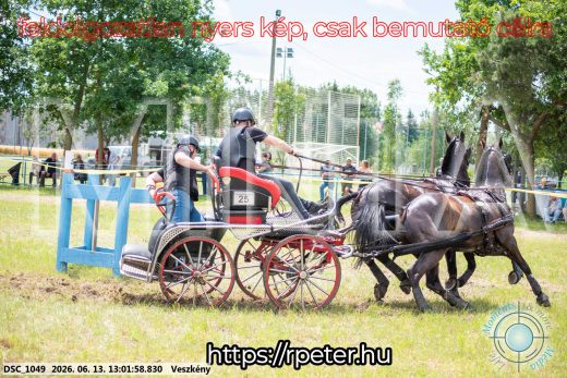 Mintakép 20260613-1446
