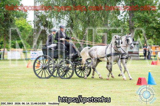 Mintakép 20260614-679