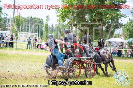 Mintakép 20260613-1447