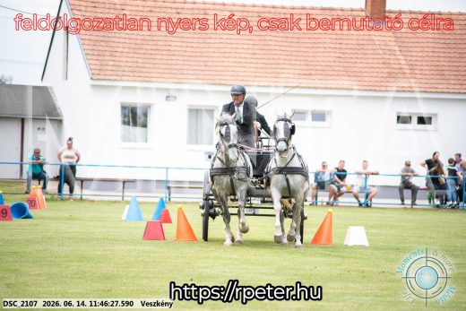 Mintakép 20260614-680