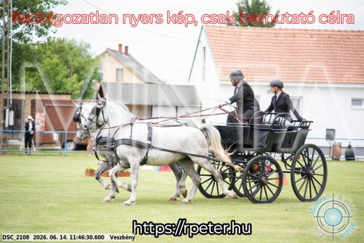 Mintakép 20260614-681