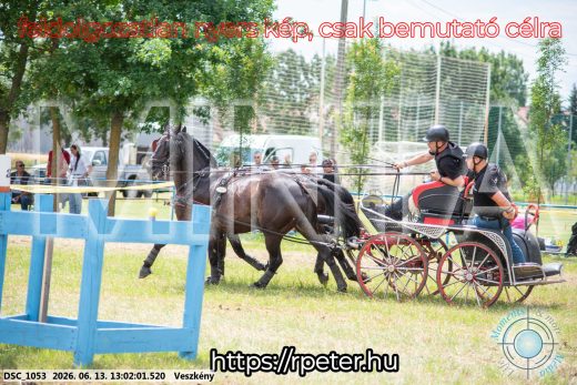 Mintakép 20260613-1450