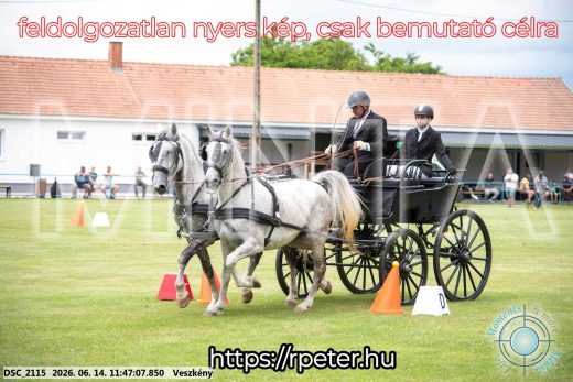 Mintakép 20260614-685