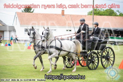 Mintakép 20260614-686