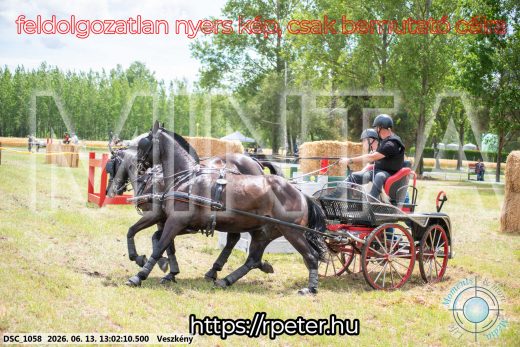 Mintakép 20260613-1455