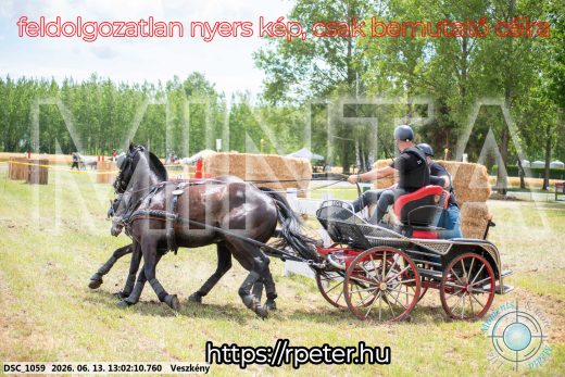 Mintakép 20260613-1456