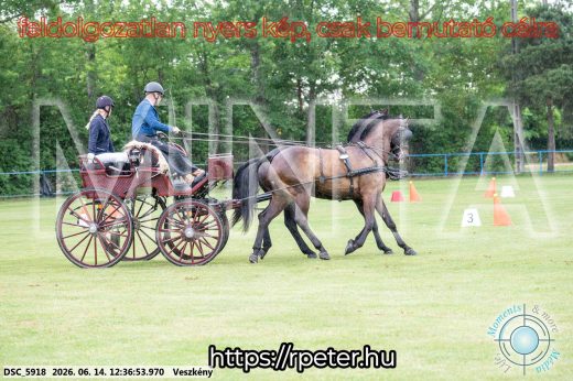 Mintakép 20260614-691