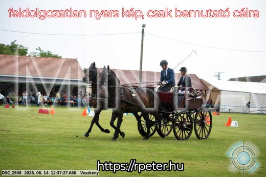 Mintakép 20260614-693