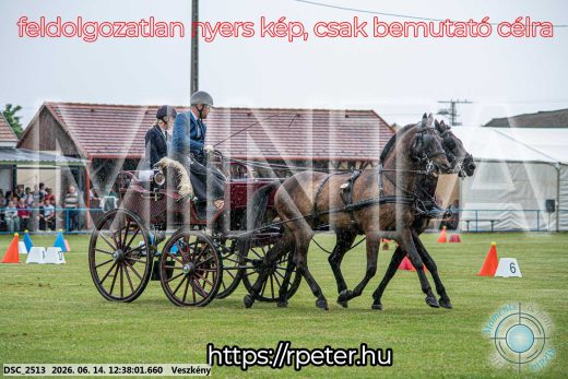 Mintakép 20260614-697