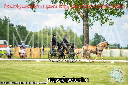 Mintakép 20260612-810