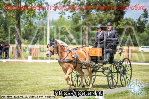 Mintakép 20260612-813