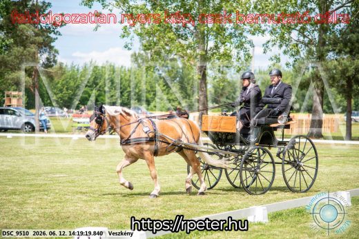 Mintakép 20260612-814