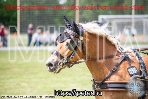 Mintakép 20260612-822