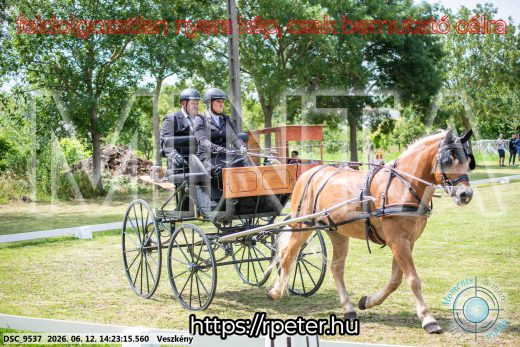 Mintakép 20260612-825