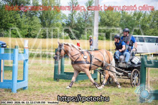 Mintakép 20260613-1462