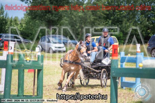 Mintakép 20260613-1464