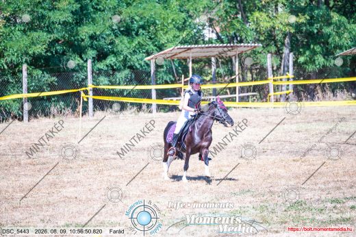 Mintakép 20260809-261