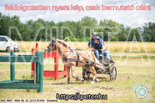 Mintakép 20260613-1466