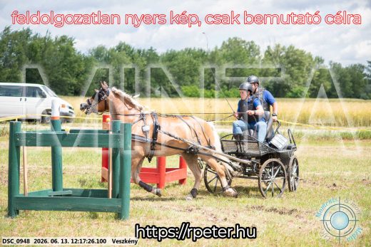 Mintakép 20260613-1467