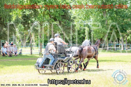 Mintakép 20260613-112
