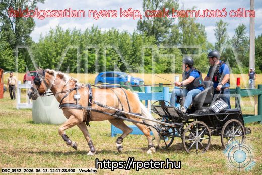 Mintakép 20260613-1471