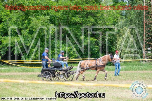 Mintakép 20260613-1472