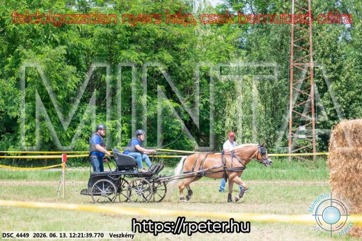 Mintakép 20260613-1473