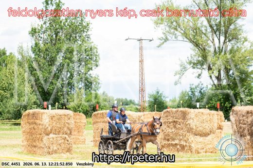 Mintakép 20260613-1475