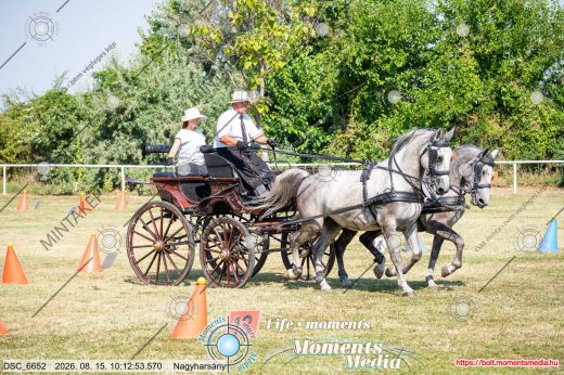 Mintakép 20260815-4
