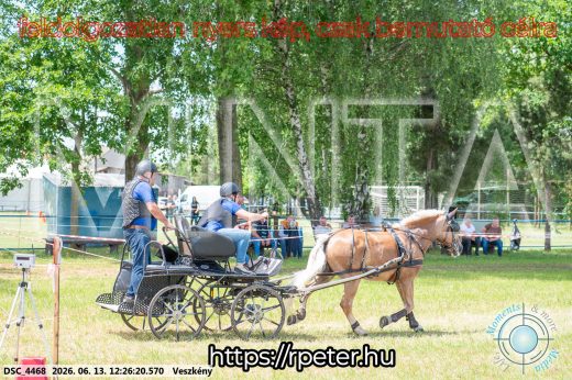 Mintakép 20260613-1480