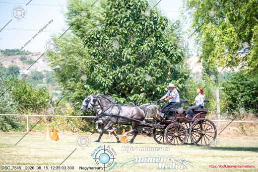 Mintakép 20260815-21