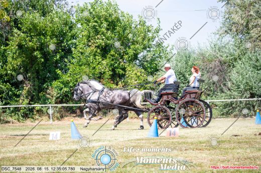 Mintakép 20260815-22