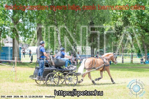 Mintakép 20260613-1481