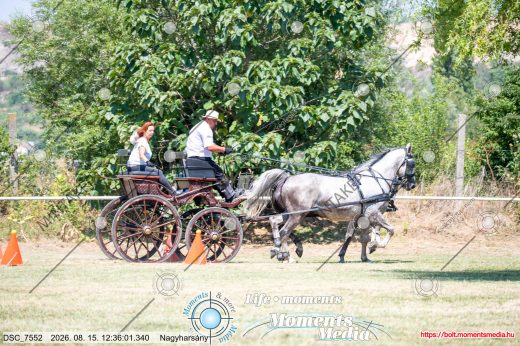Mintakép 20260815-25