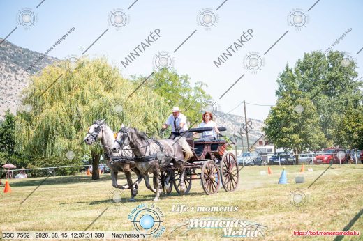 Mintakép 20260815-31