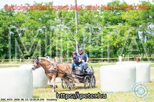 Mintakép 20260613-1482