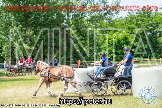 Mintakép 20260613-1484