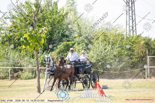 20260815-142533-DSC_8199.jpg