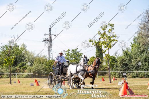 Mintakép 20260815-56