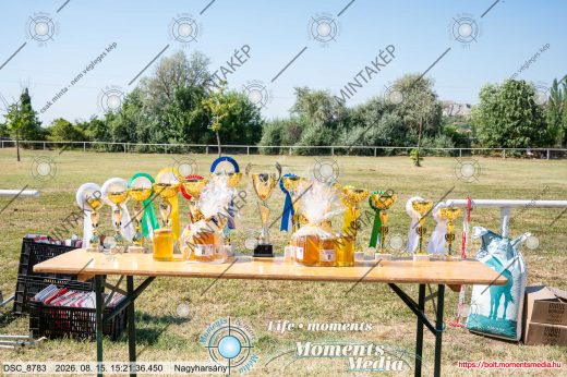 20260815-152136-DSC_8783.jpg