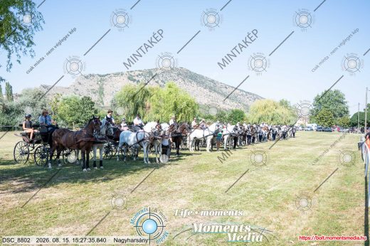 Mintakép 20260815-74