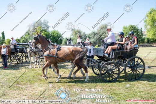 Mintakép 20260815-79
