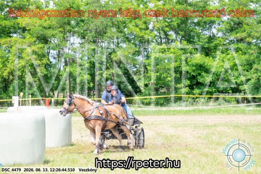 Mintakép 20260613-1487