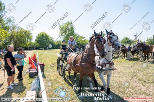 Mintakép 20260815-88